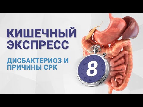 №8 КИШЕЧНЫЙ ЭКСПРЕСС. Дисбактериоз и причины СРК