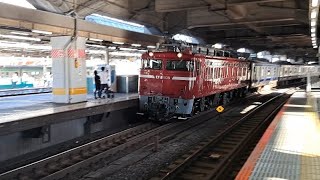 [配9729レ] EF81-139[尾]牽引E531系K453編成AT入場赤羽駅通過