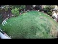 Mountain lion captured on camera in Monrovia backyard