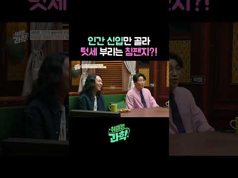인간 신입만 골라 텃세 부리는 <strong>침팬지</strong>?! #영장류 #<strong>침팬지</strong> #침팬지지능 #취미는과학