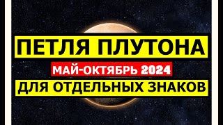 :  .  -  - .  -  2024.     
