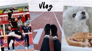 Vlog | 독서 모임하고 몽심 오픈런하고 런데이하고 배구 직관하고 바쁘다 바빠 현대사회 | 정관장 배구 직관 브이로그