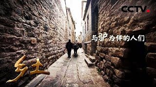 《乡土》与驴为伴的人们 20181206 | CCTV农业