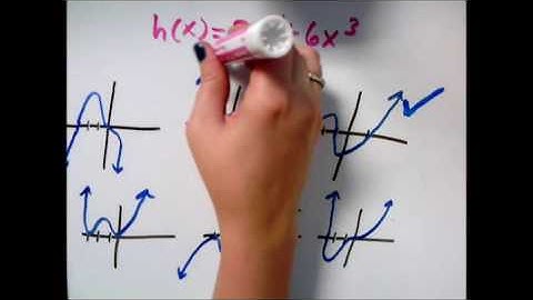 Matching graphs with polynomial functions