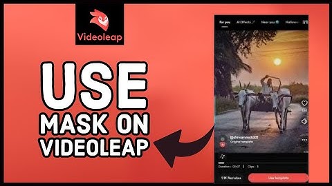 How to Use Masks in Videoleap 2023?