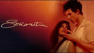 Shawn Mendes U0026 Camila Cabello  Seorita abdulrahman Remix