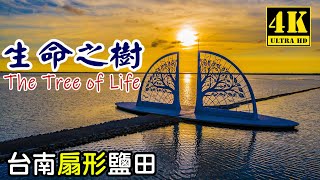 【空拍攝影】扇形鹽田   生命之樹  The Tree of Life   朝光前行  向海致敬   Tainan,Taiwan   空拍  4K