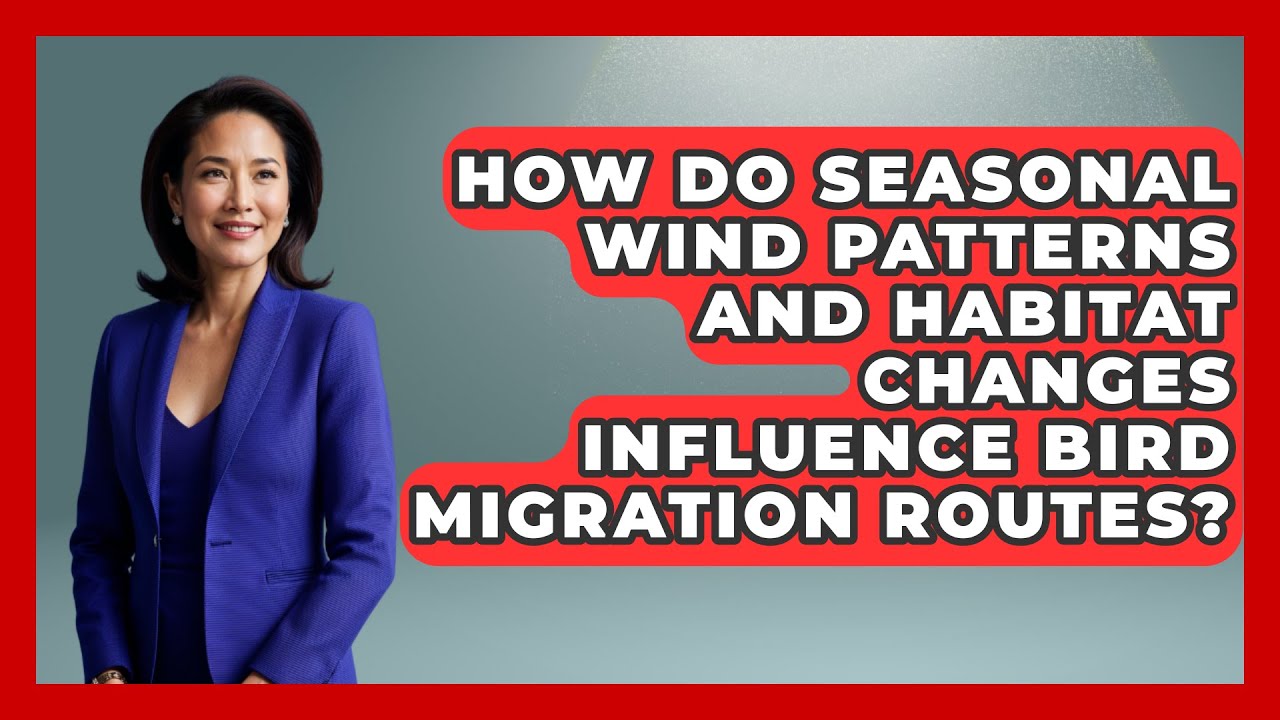 How Do Seasonal Wind Patterns and Habitat Changes Influence Bird Migration Routes?