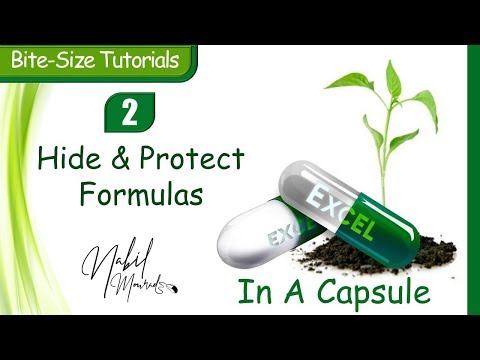 Hide and Protect Formulas - Excel In A Capsule (Episode 2)