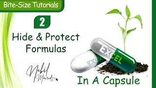 Hide and Protect Formulas - Excel In A Capsule (Episode 2)
