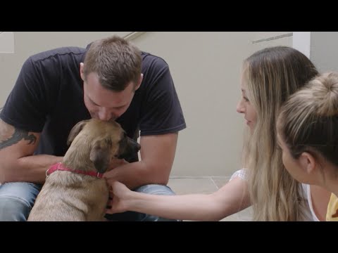 Video: Jednostavan način na koji možete učiniti život vašeg psa strašljivijim