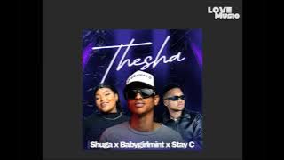 Sugar x Babygirlmint x Stay C, (Thesha)