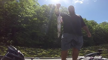 Cal Coast Clip N Cull Demo