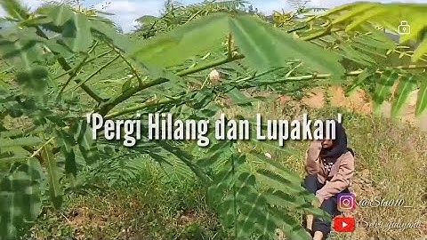 PERGI HILANG DAN LUPAKAN [ Dj angklung full ]