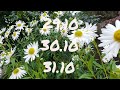 Лунный календарь для цветоводов  с27.10-2.11.25г.