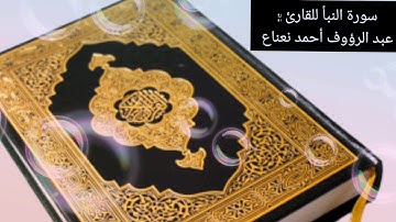 سورة النبأ للقارئ : عبد الرؤوف أحمد نعناع