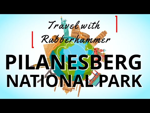 I spent 4 days at the Pilanesberg National Park | Travel with Rubberhammer