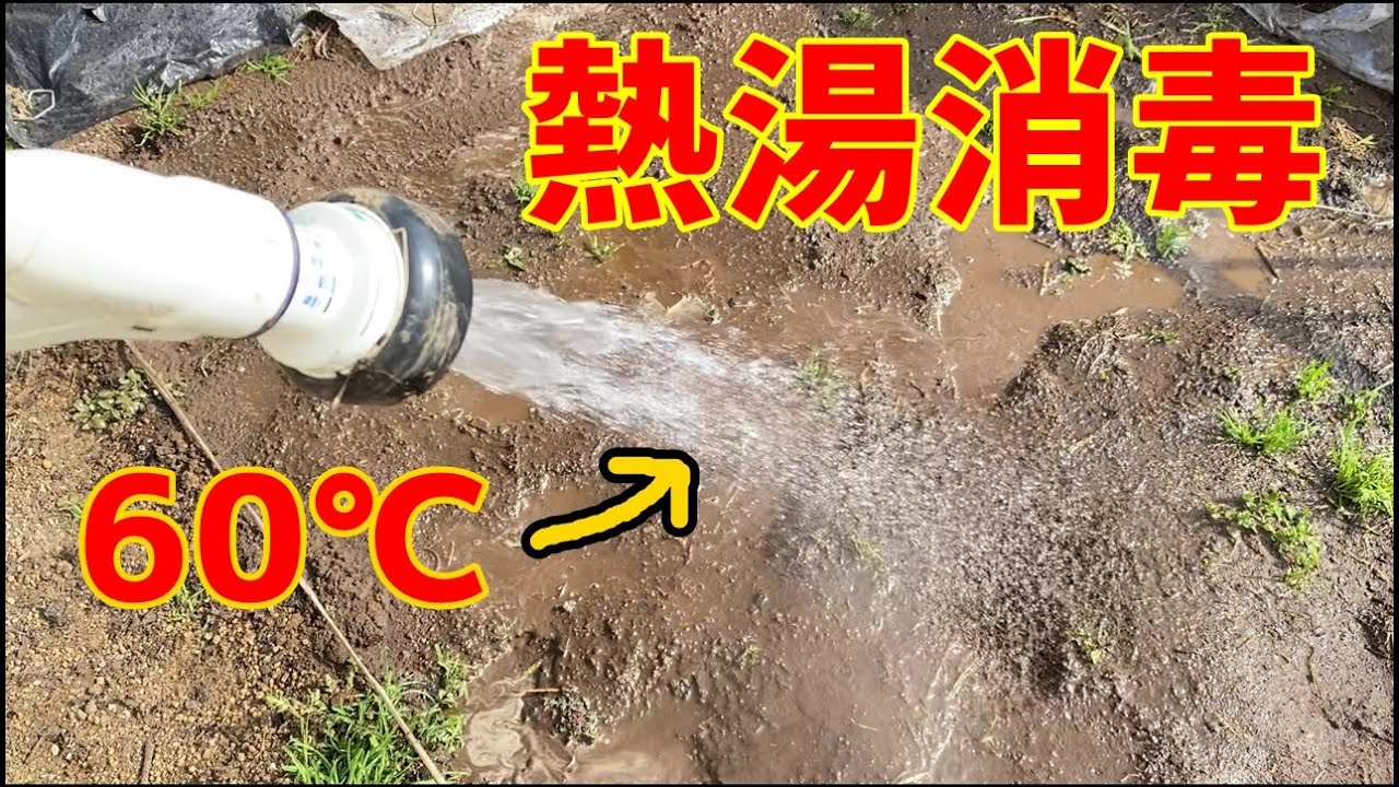 ホースから60 のお湯を出して土を熱湯消毒する試み Youtube