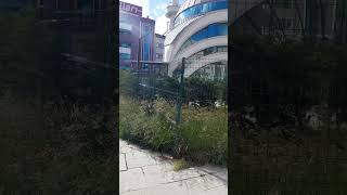 Огородили мечеть  #2025  #турция  #стамбул #стамбултурция