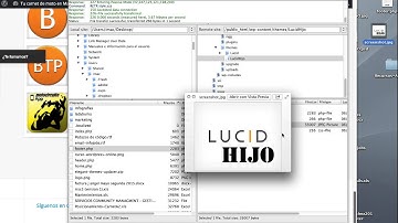 modificar footer child theme