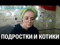 Подростки и котики | ПРИЗНАКИ ЖИЗНИ