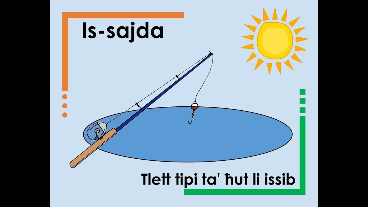 Tlett tipi ta' ħut li issib