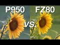 Nikon P950 vs Lumix FZ80 Comparison (Image & Video Quality Test)