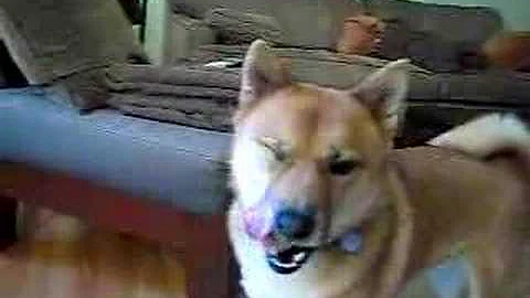 Keiko's Manner