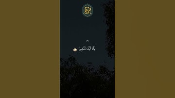 ❤️ تلاوة خاشعة جميلة بصوت ماهر المعيقلي ارح سمعك #ماهر المعيقلي #34