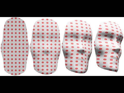 Geometries and thin nematic elastomer surfaces | Hillel Aharoni (Weizmann Institute of Science)