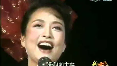 彭麗媛《在希望的田野上》.flv - 天天要聞