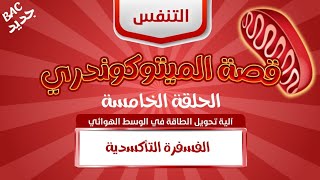 الحلقة الأخيرة🔥 الغني والفقير 👬: الفسفرة التأكسدية | بكالوريا