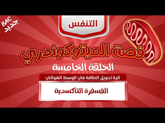 الحلقة الأخيرة🔥 الغني والفقير 👬: الفسفرة التأكسدية | بكالوريا