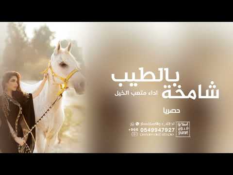 افخم شيلات بالطيب شامخة اداء متعب الخيل حصريا 2024