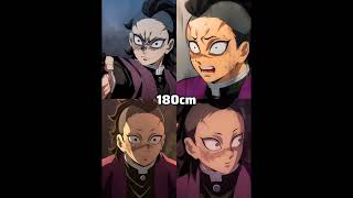 which kny character height is same as yours ✨#bluedit #demonslayer #anime