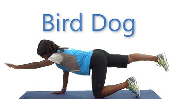 How to do a Bird Dog: Health e-University