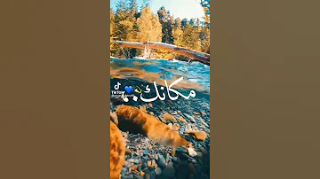 ياصاحبي ياروح عمري عشانك ولاواحد ياخ مكانك انت الشق وعالي كيانك يالي مشرفنا 