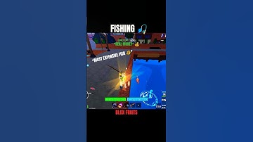 💎 Secret Fishing Spots in BLOX FRUITS 3rd Sea 🎣 | Easy Money & Rare Loot! ⚡