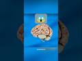 YOUR BRAIN IS WEIRD 😨- KR4Zi Facts
