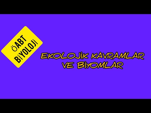 Video: Ekolojik bölge ve biyom arasındaki fark nedir?