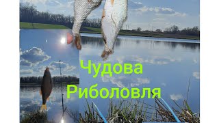 Риболовля на поплавок і фідер чоткий кльов#fishing #fish #top #україна #плотва #рибалочка #басівкут