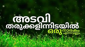 Adavi Tharukkalin Idayil | Malayalam Christian Song | Lyrical Video