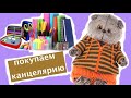 BACK TO SCHOOL с Басиками 2020/ Басики покупают канцелярию к школе / Семейка Басиков и Мисс Фаина