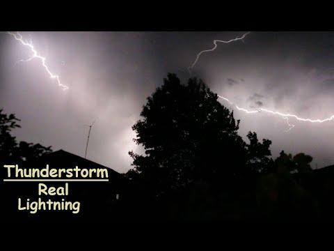 Real Thunderstorm Sounds Atmosphere For Sleeping x Relaxing | Real Lightnings Behind The Tree