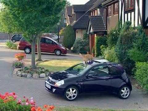 car commercial - sun roof feature, cat gets a supr...