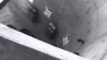 Specialist Project, "A Living and Timeless Structure", Abedian School of Architecture