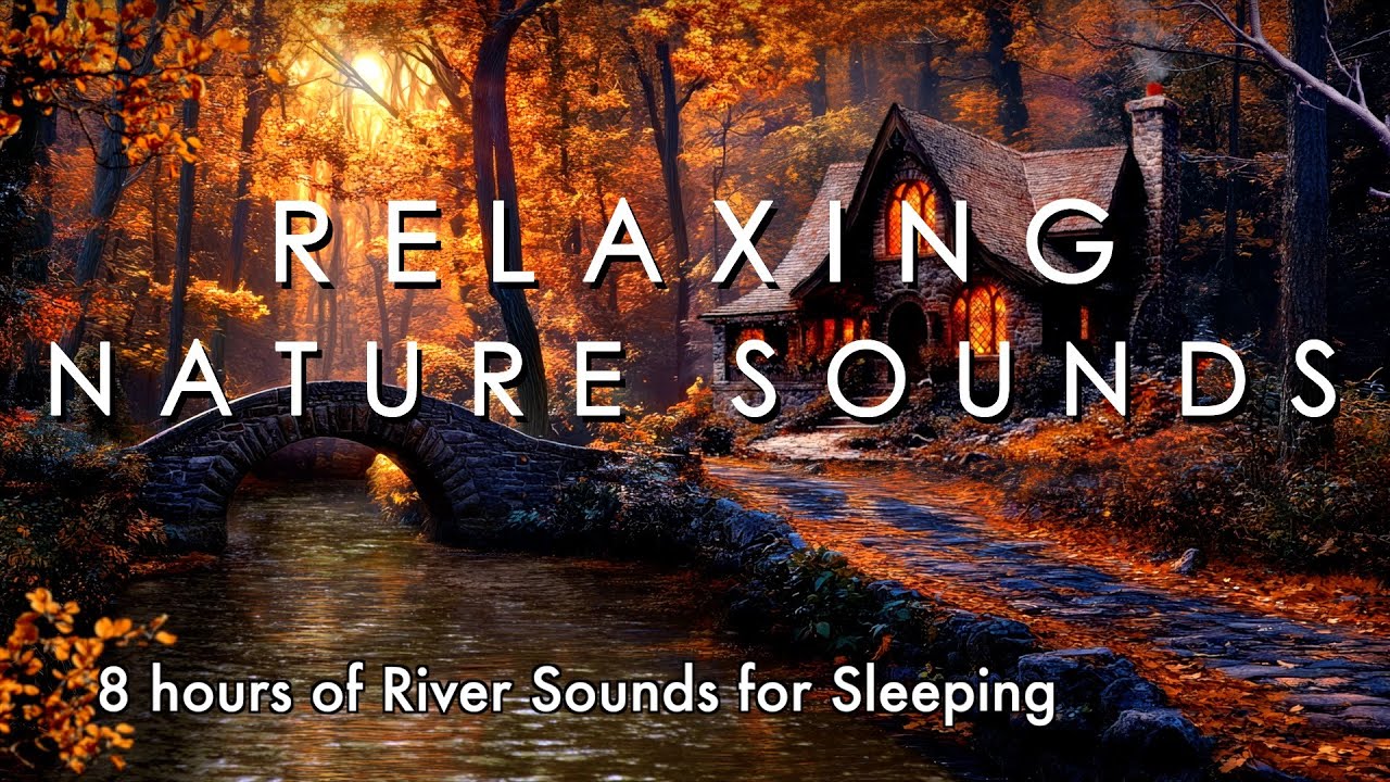 Relaxing Nature Sounds in Fall 🍁 8 hours of River Sounds for Sleeping 💦 ...