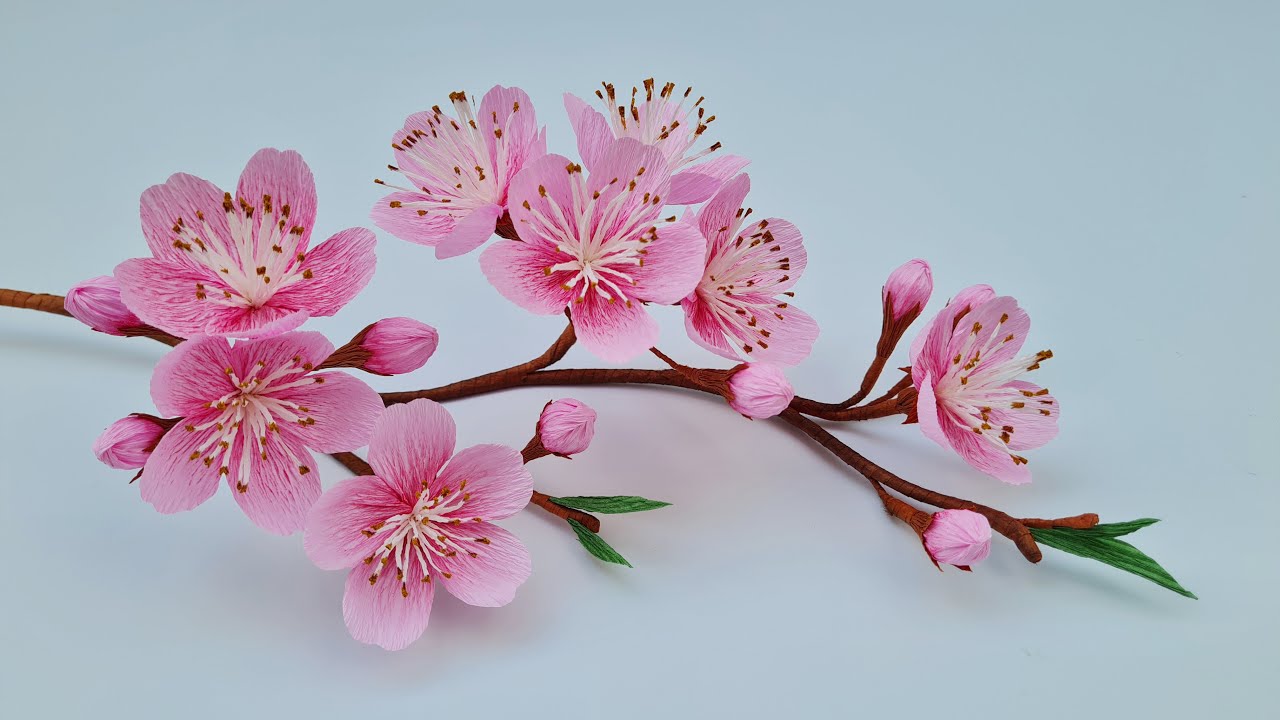 How to make Prunus Cerasoides flowers from crepe paper / Paper Flower / Góc nhỏ Handmade