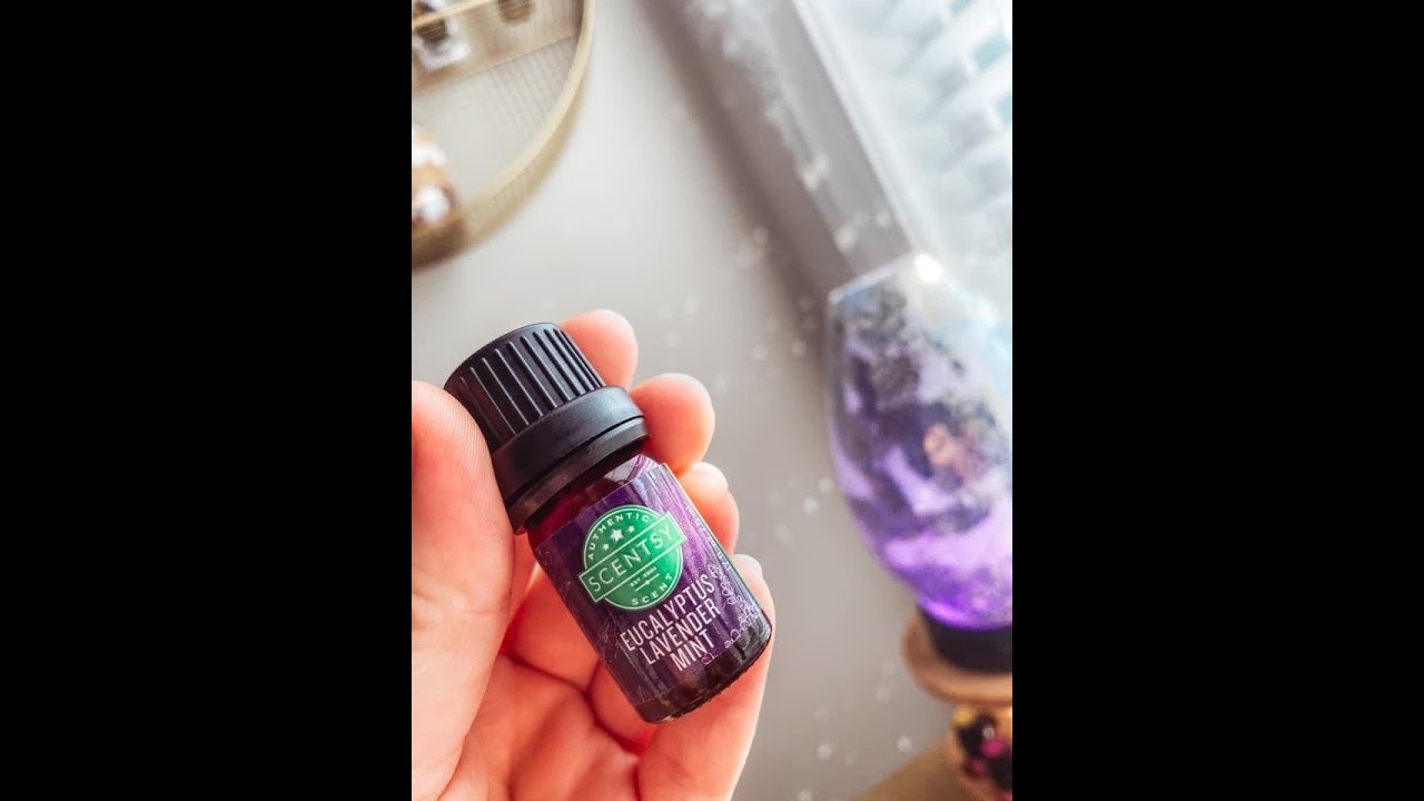 Scentsy Diffusers Review and How To Use Premium and Deluxe! YouTube