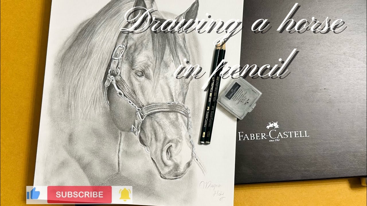 Drawing a horse in pencil( dibujando un caballo a lápiz) 